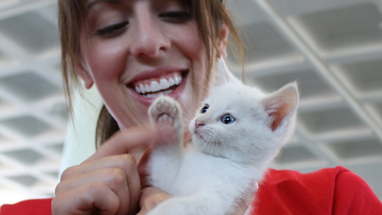 Purina acquires leading pet adoption website