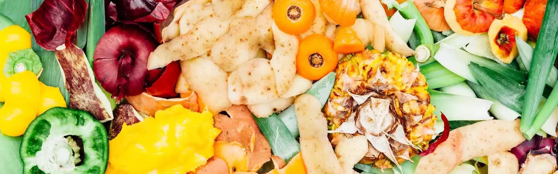 Food Waste