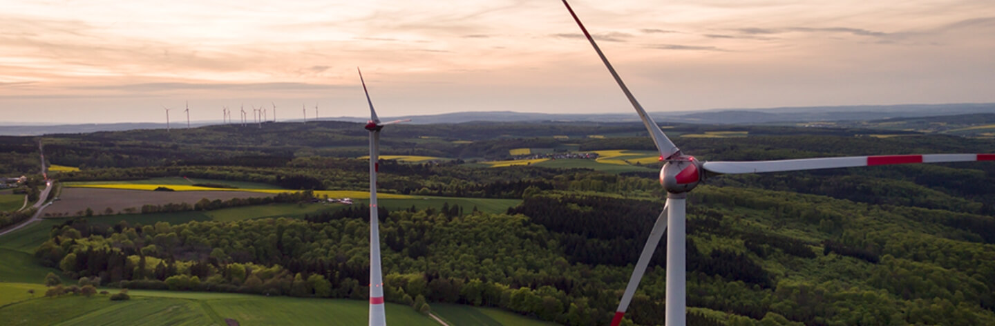 Planet_Climate_Evergreen_RenewableElectricity_1440x472
