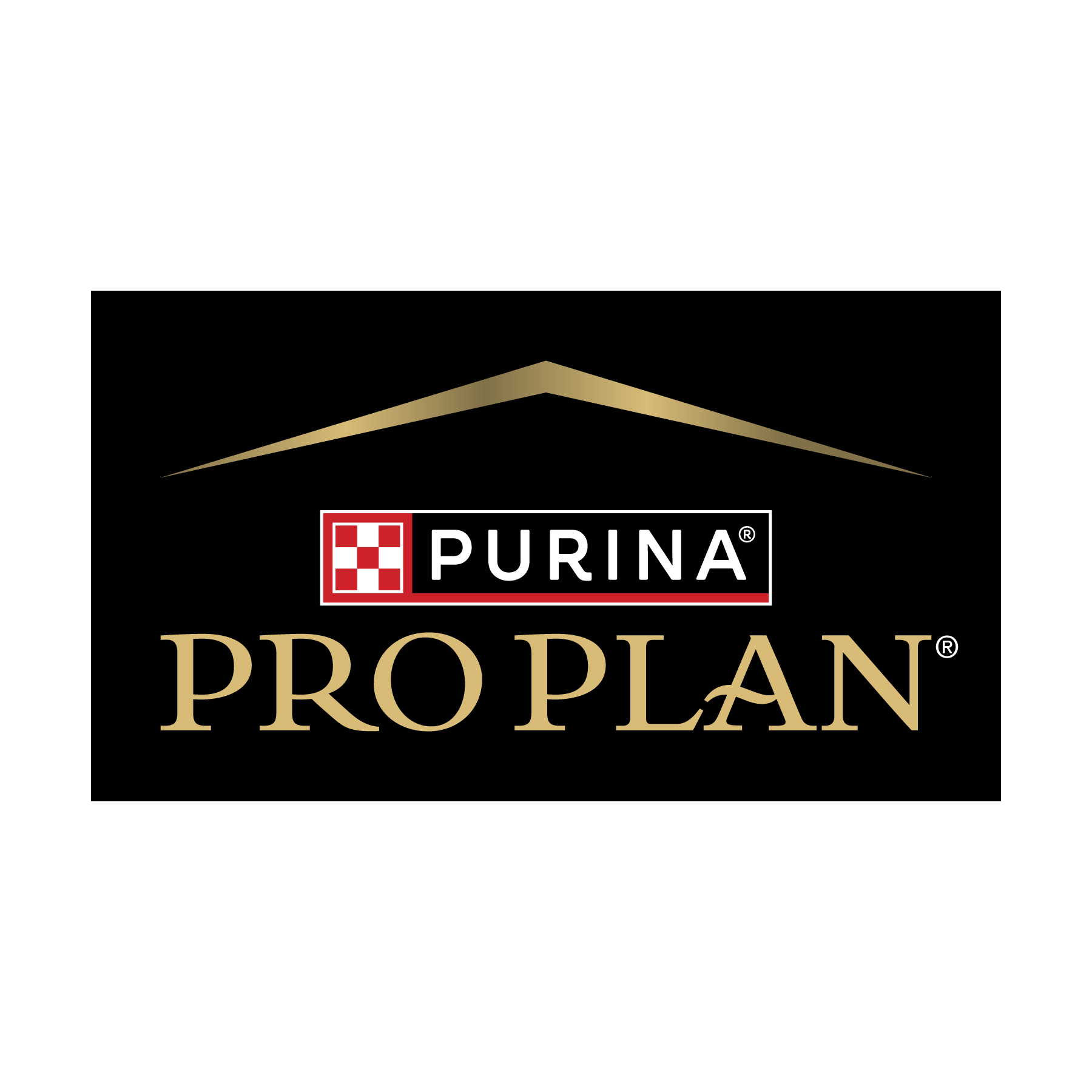 Pro plan