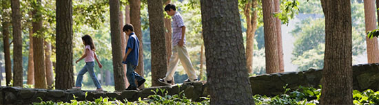 environment_550x153.jpg