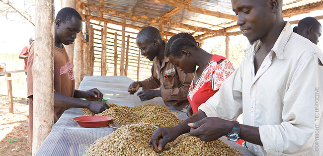 Sorting beans