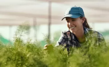 a farmer looking at her crops
