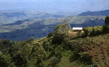 a green landscape