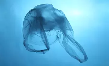sustainability-waste-tackling-plastic-pollution-card-bottom
