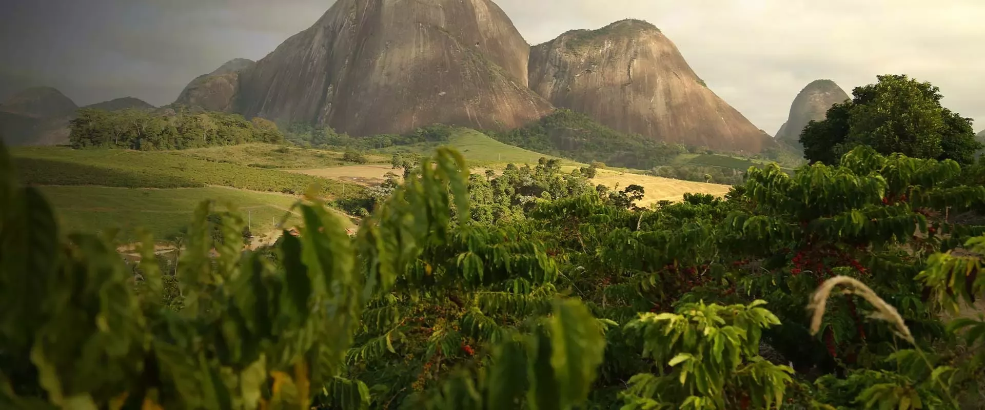 Arable and wooded landscape and mountains in distance