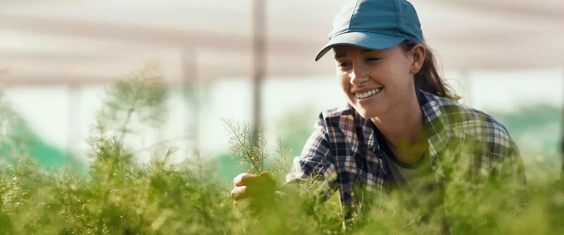 We are taking action to help advance regenerative food systems at scale