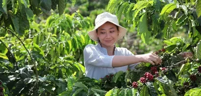 Nescafe_plan_2030_lady_working_in_farm