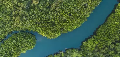 Nestlé and iQ Renew partner on soft plastic recycling in resource recovery trial
