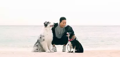 Purina running relationship