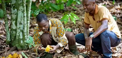 Nestlé retains top slot on Oxfam sustainability scorecard
