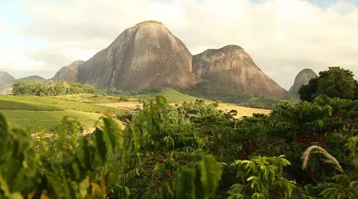 Arable and wooded landscape and mountains in distance