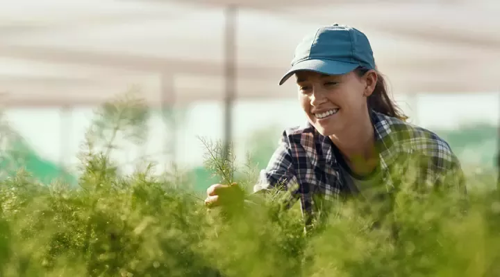 Nestlé’s environmental impact and regenerative agriculture