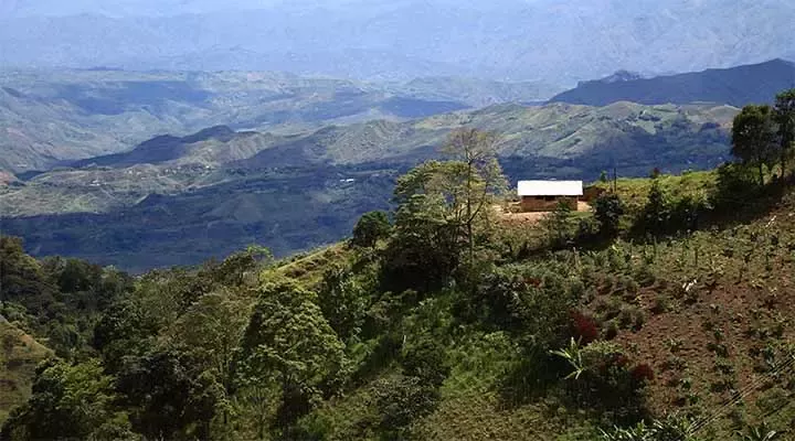 regenerative agriculture