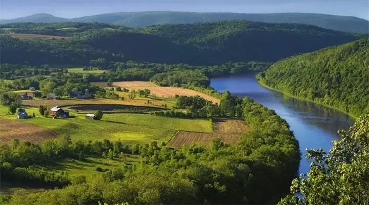 a river running through a green landscape