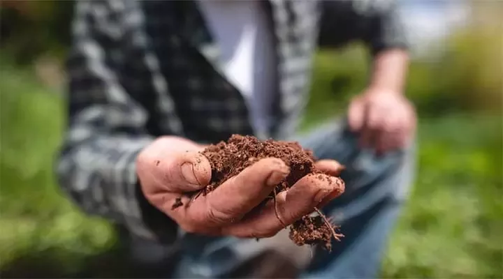a hand holding healthy rich soil