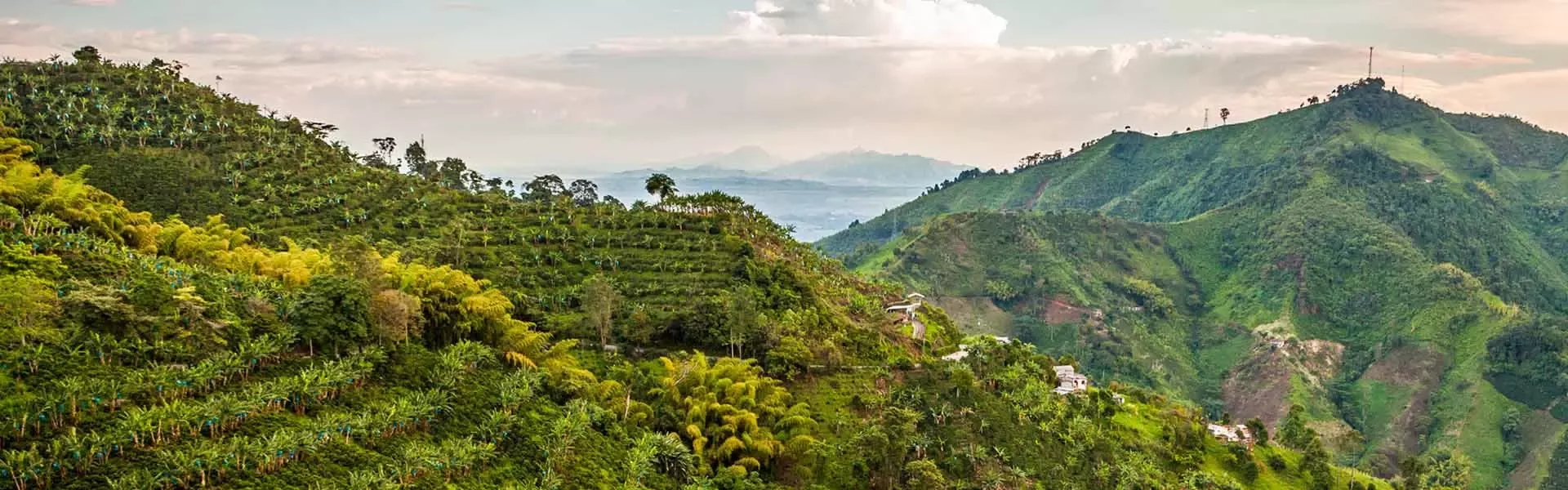 GRGen Sustainable Coffee