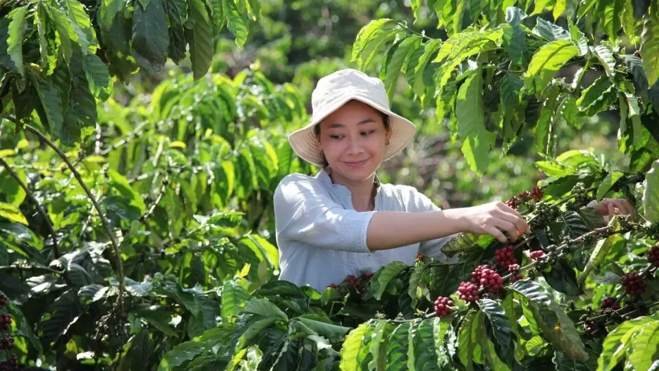 Nescafe_plan_2030_lady_working_in_farm