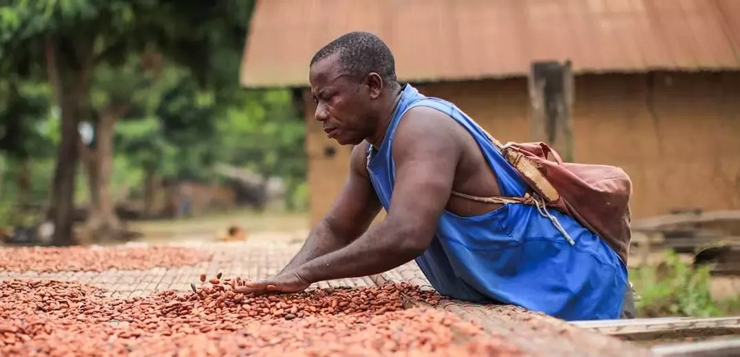 regeneration farmer working