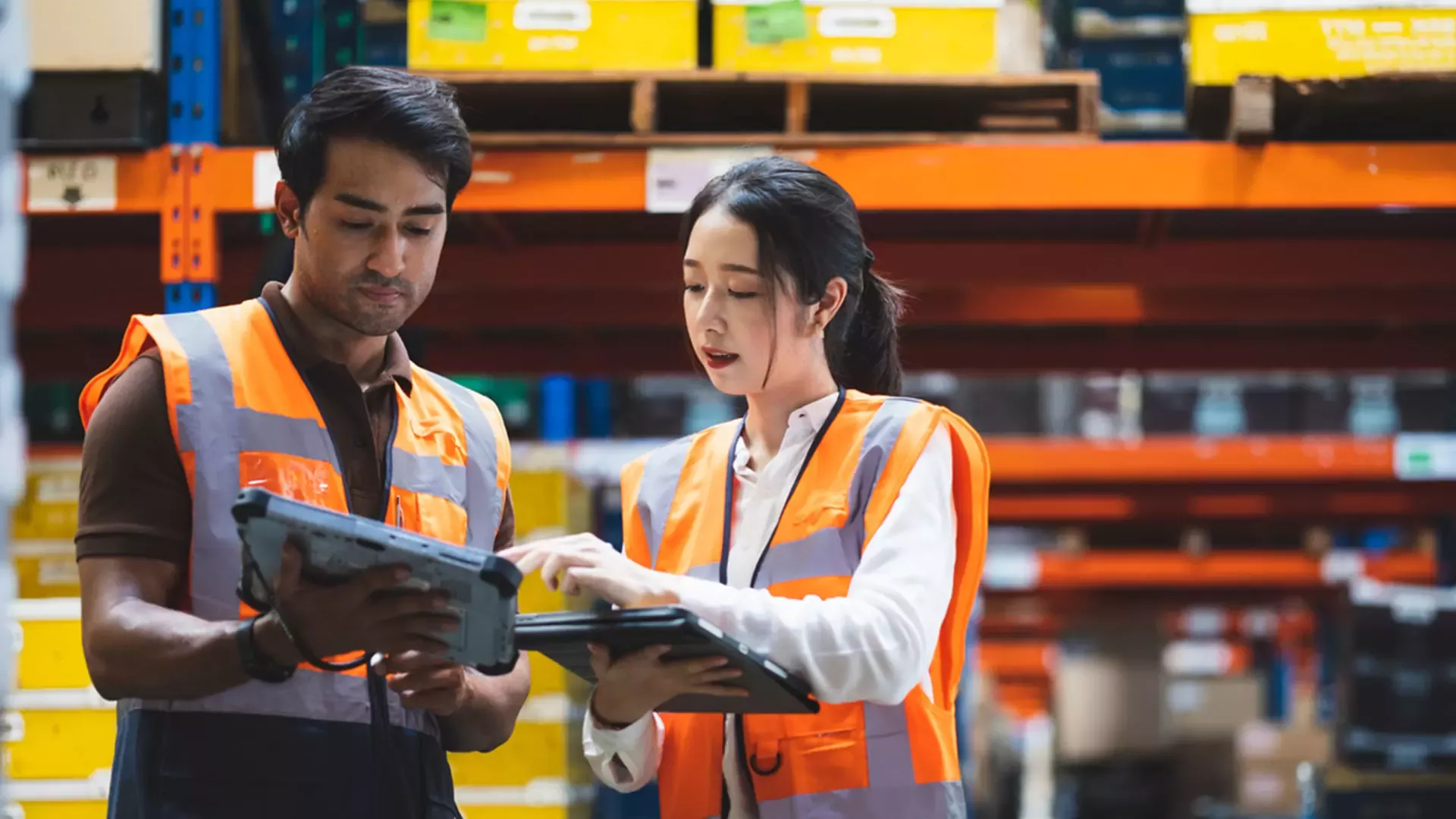 Supply Chain