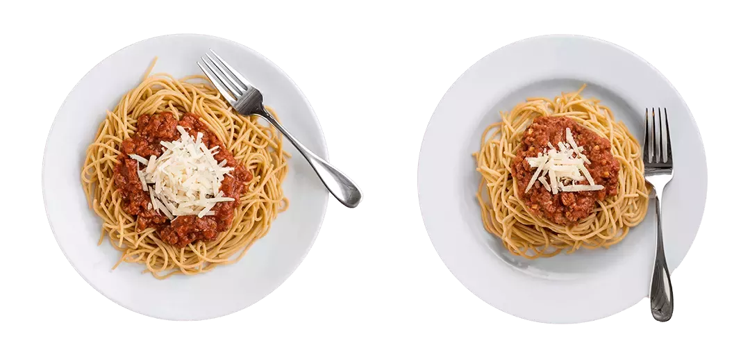 Portion Plate Comparison