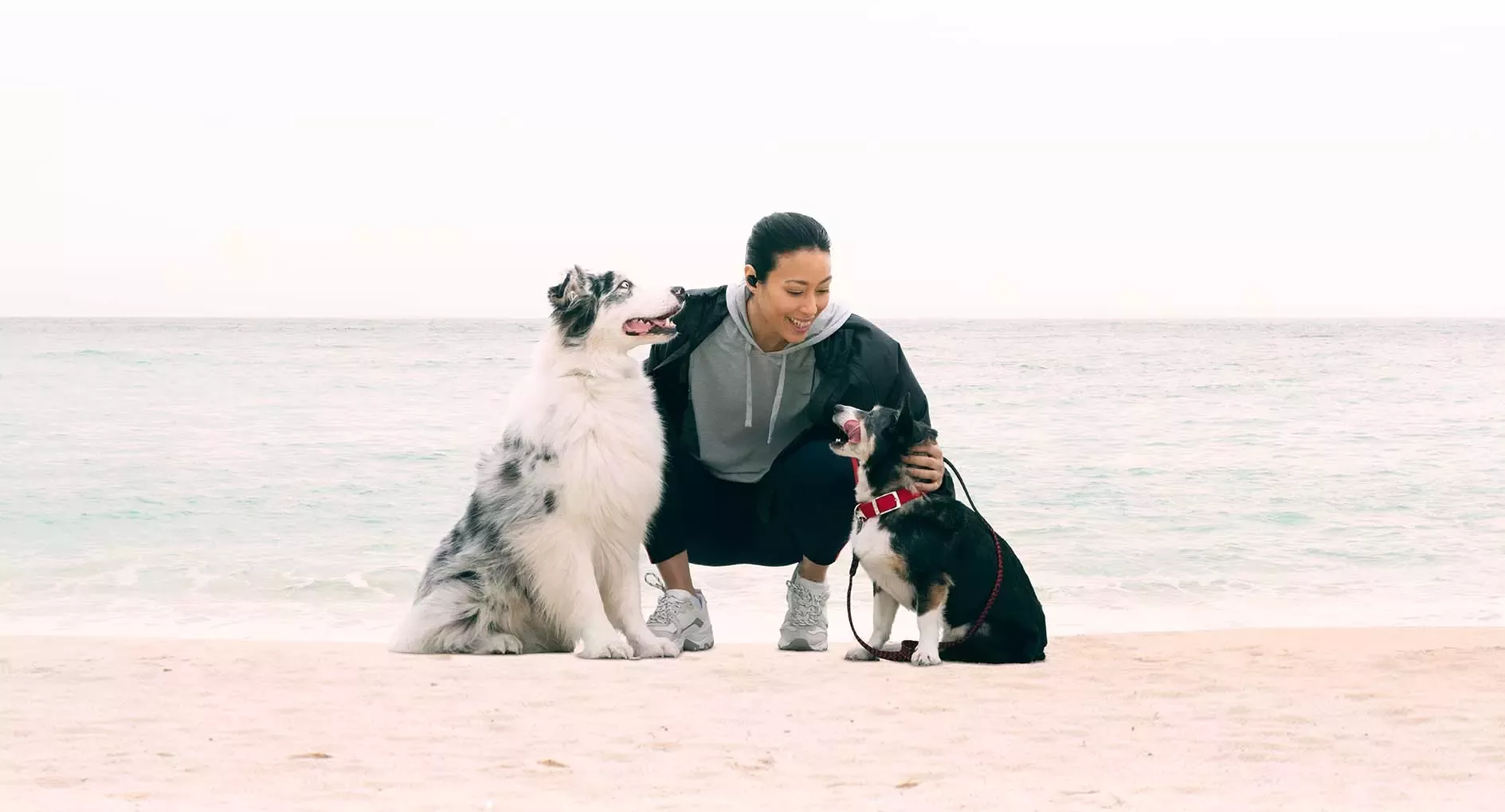 Purina running relationship