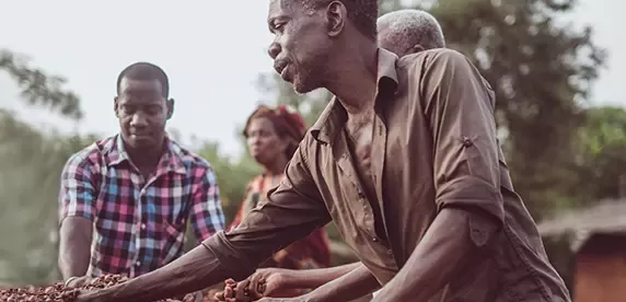 KitKat hits 100% sustainable cocoa goal in world first