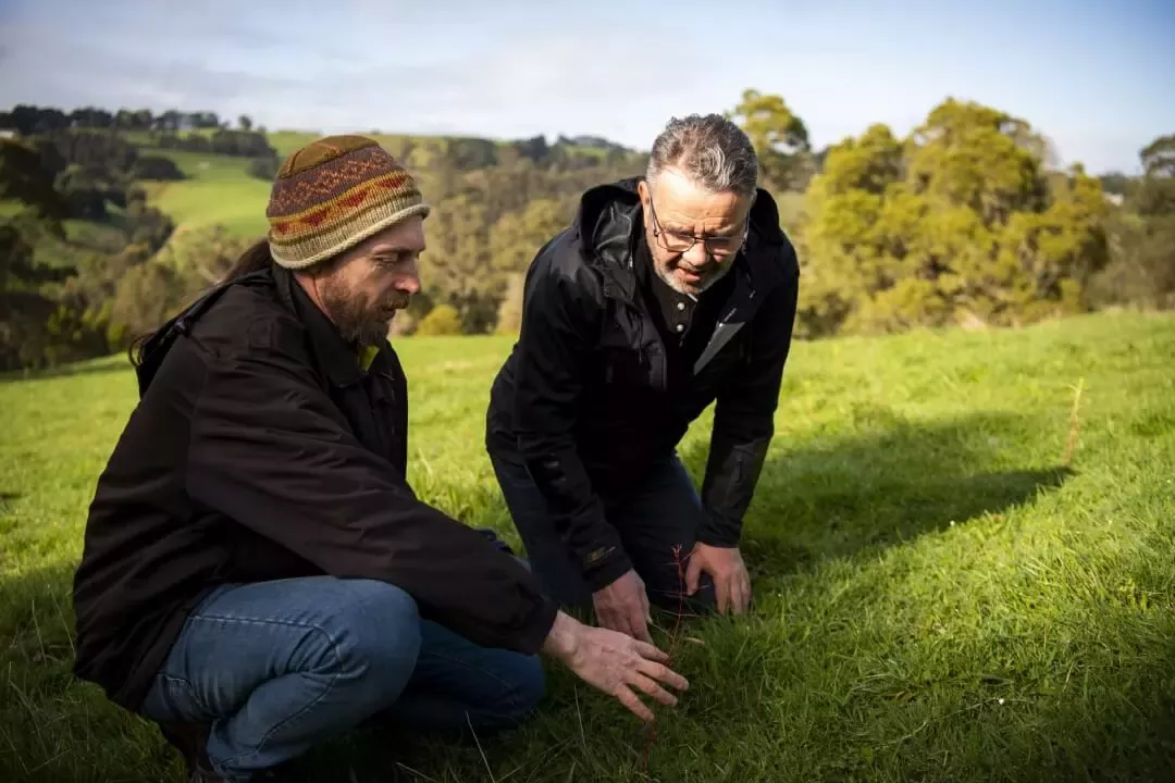 mans_planing_on_grassland