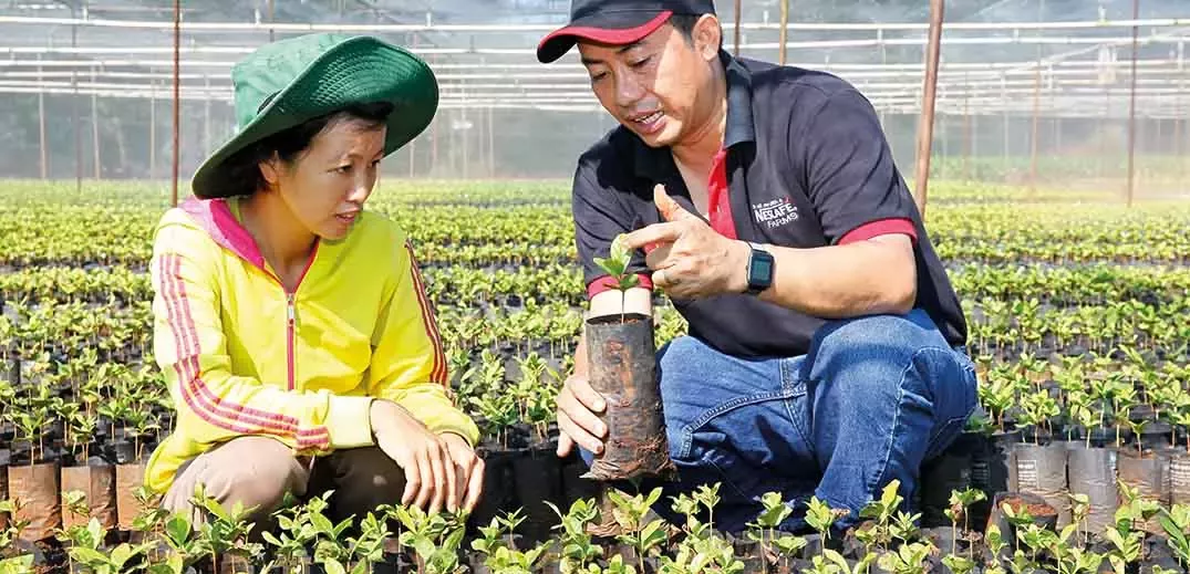 nescafe-plan-farmer-training-wide.jpg