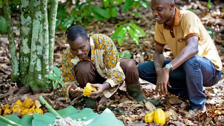 Nestlé retains top slot on Oxfam sustainability scorecard