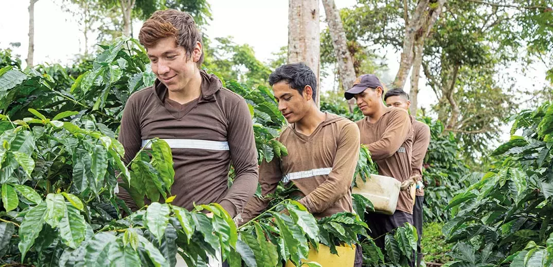 regeneration-coffee-next-generation-wide.jpg