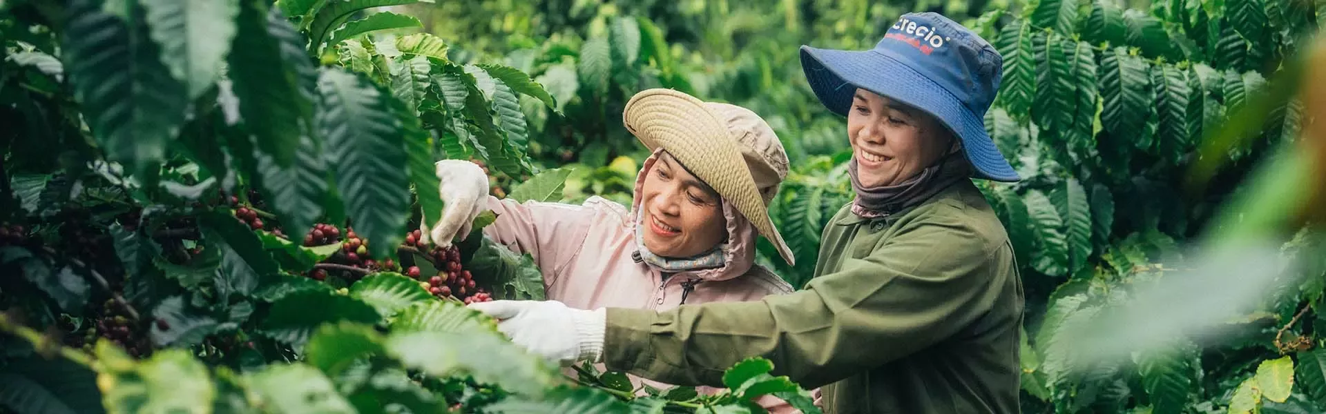 vietnam-nescafe-story-big